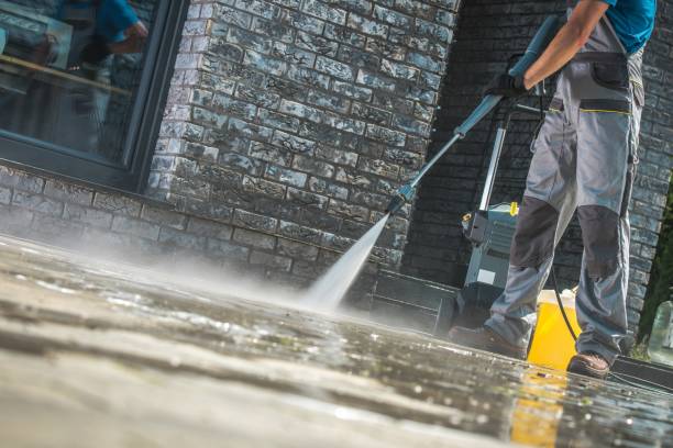 Best Solar Panel Cleaning  in Carpentersvle, IL