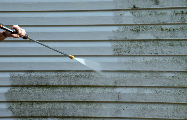 Best Dumpster Area Cleaning  in Carpentersvle, IL