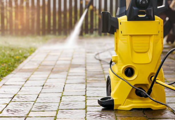 Best Boat and Dock Cleaning  in Carpentersvle, IL